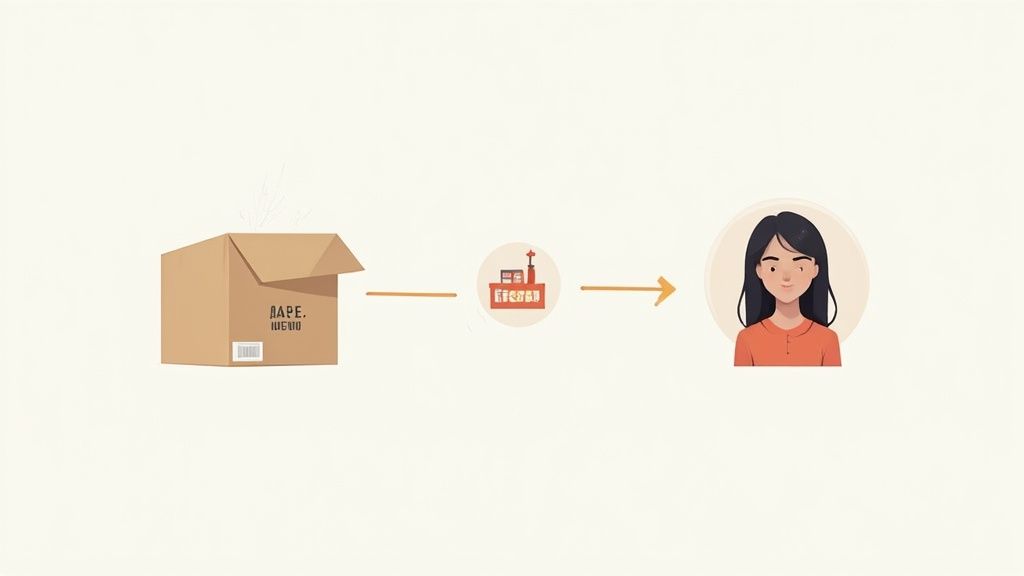 Direct-to-Consumer (D2C/DTC) Model