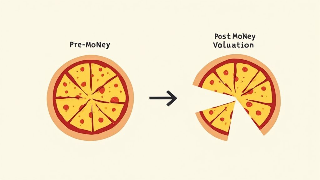 Illustration using pizzas to explain pre-money and post-money valuation and equity dilution.