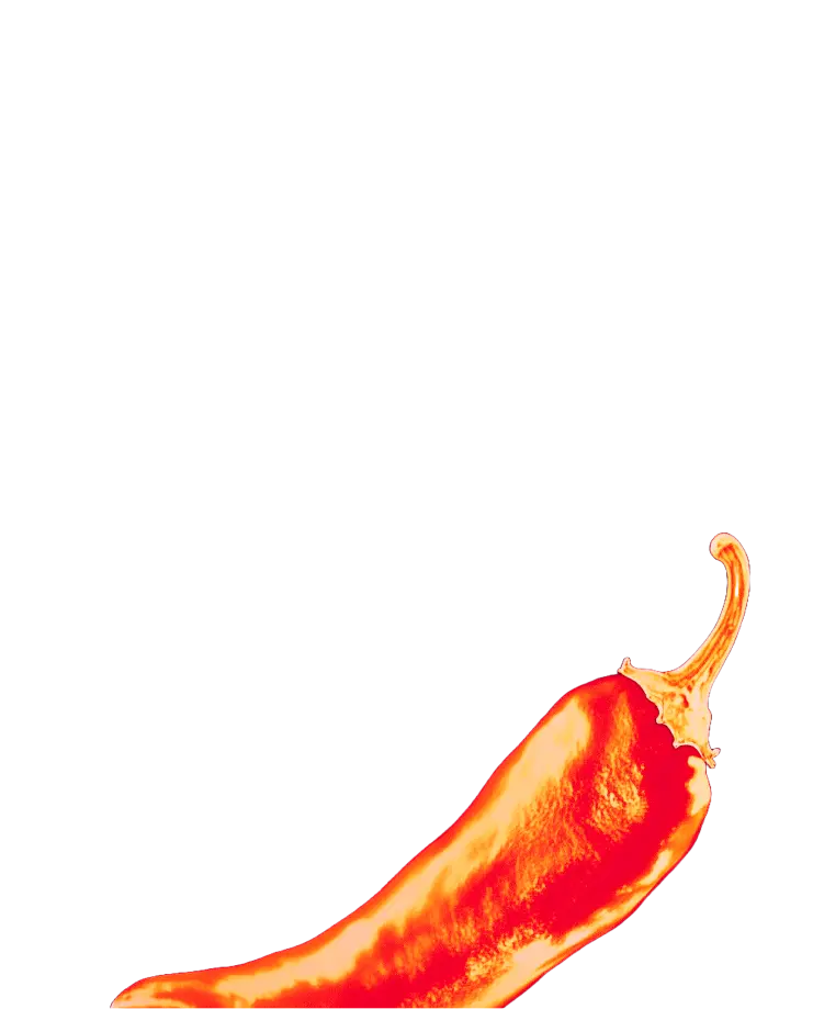Pitchili